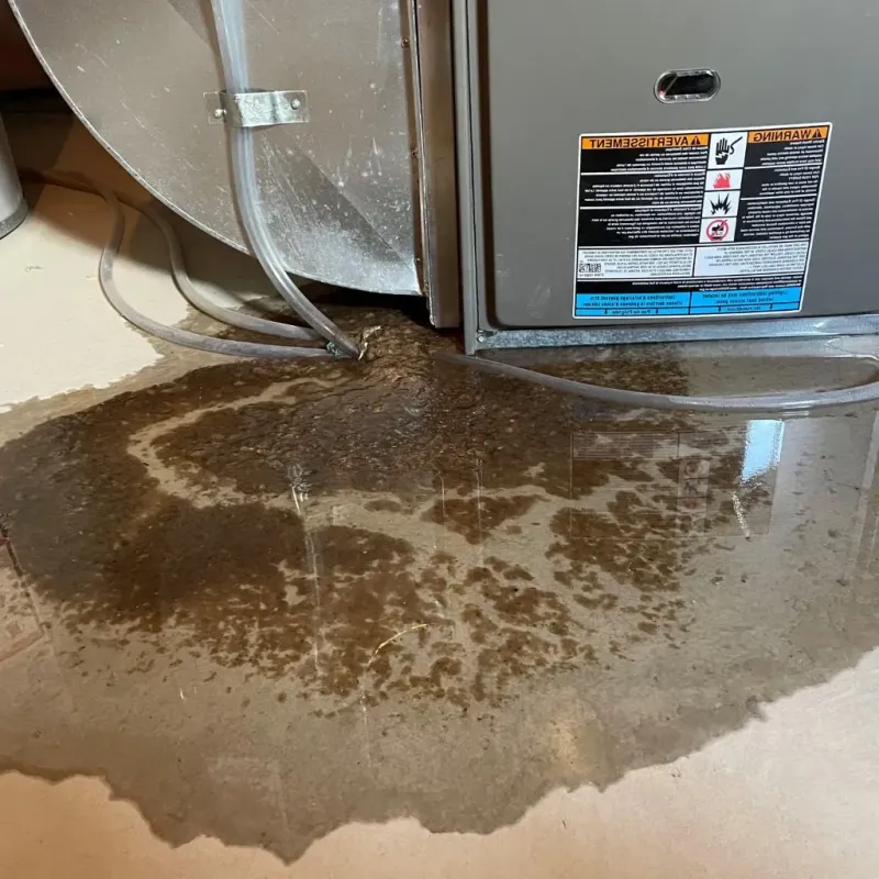 Pipe Burst and Leak Restoration in Kenton, TN