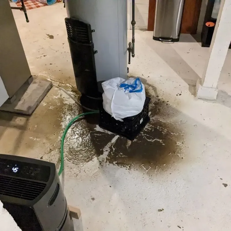 Sewage Backup Cleanup Service in Kenton, TN
